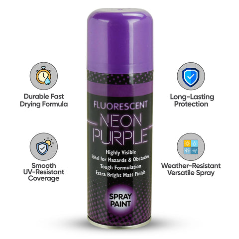 Fluorescent Neon Spray Paint 200ml