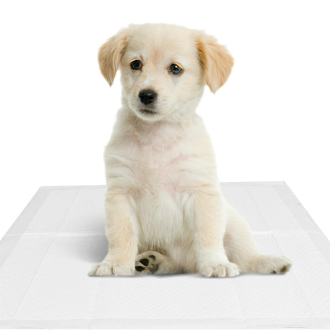 Heavy Duty Puppy Training Pads Pet Toilet Training Pads Dog Pee Wee Mats