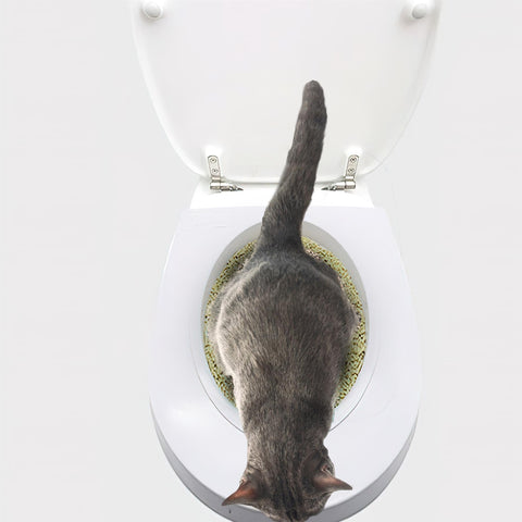 Cat Toilet Seat