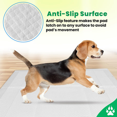 Heavy Duty Puppy Training Pads Pet Toilet Training Pads Dog Pee Wee Mats