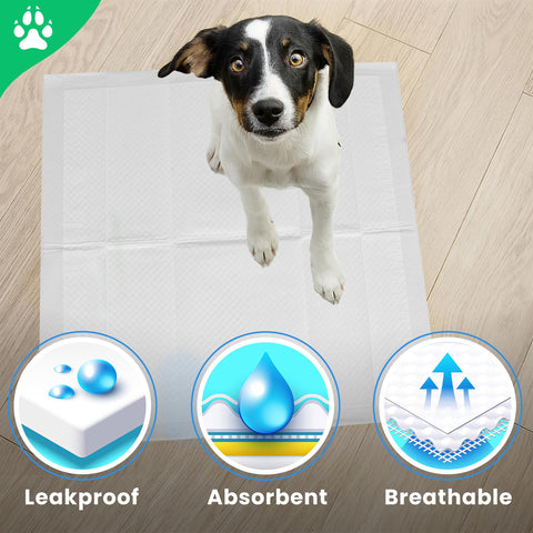 Heavy Duty Puppy Training Pads Pet Toilet Training Pads Dog Pee Wee Mats