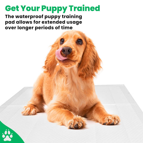 Heavy Duty Puppy Training Pads Pet Toilet Training Pads Dog Pee Wee Mats