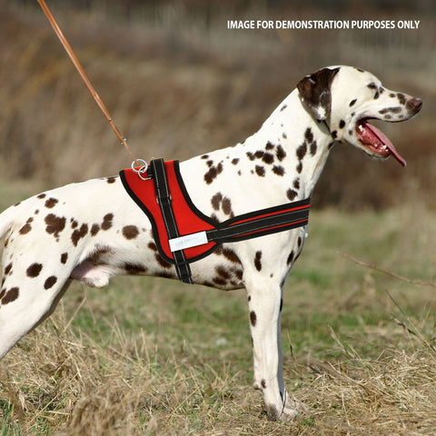 Reflective Ajustable Dog Harness