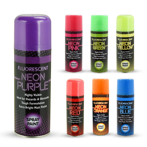 Fluorescent Neon Spray Paint 200ml