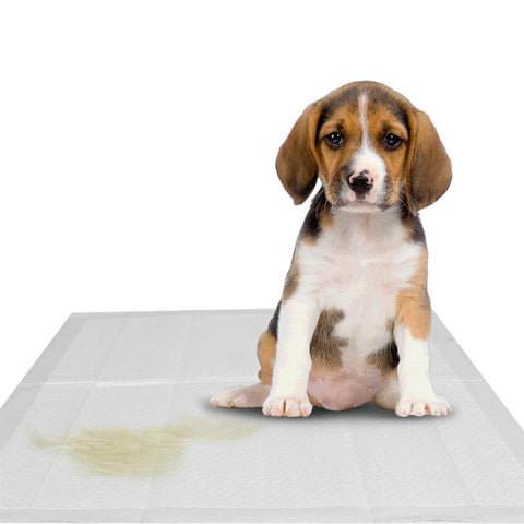 Heavy Duty Puppy Training Pads Pet Toilet Training Pads Dog Pee Wee Mats