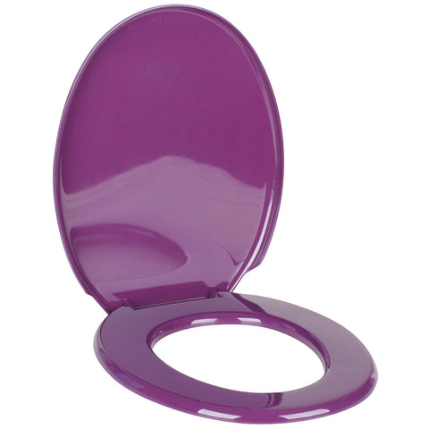 Oval Shape Multicolor Toilet Seat