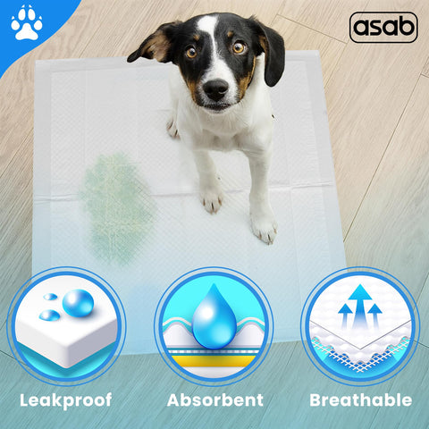 Pet Dog Training Pads