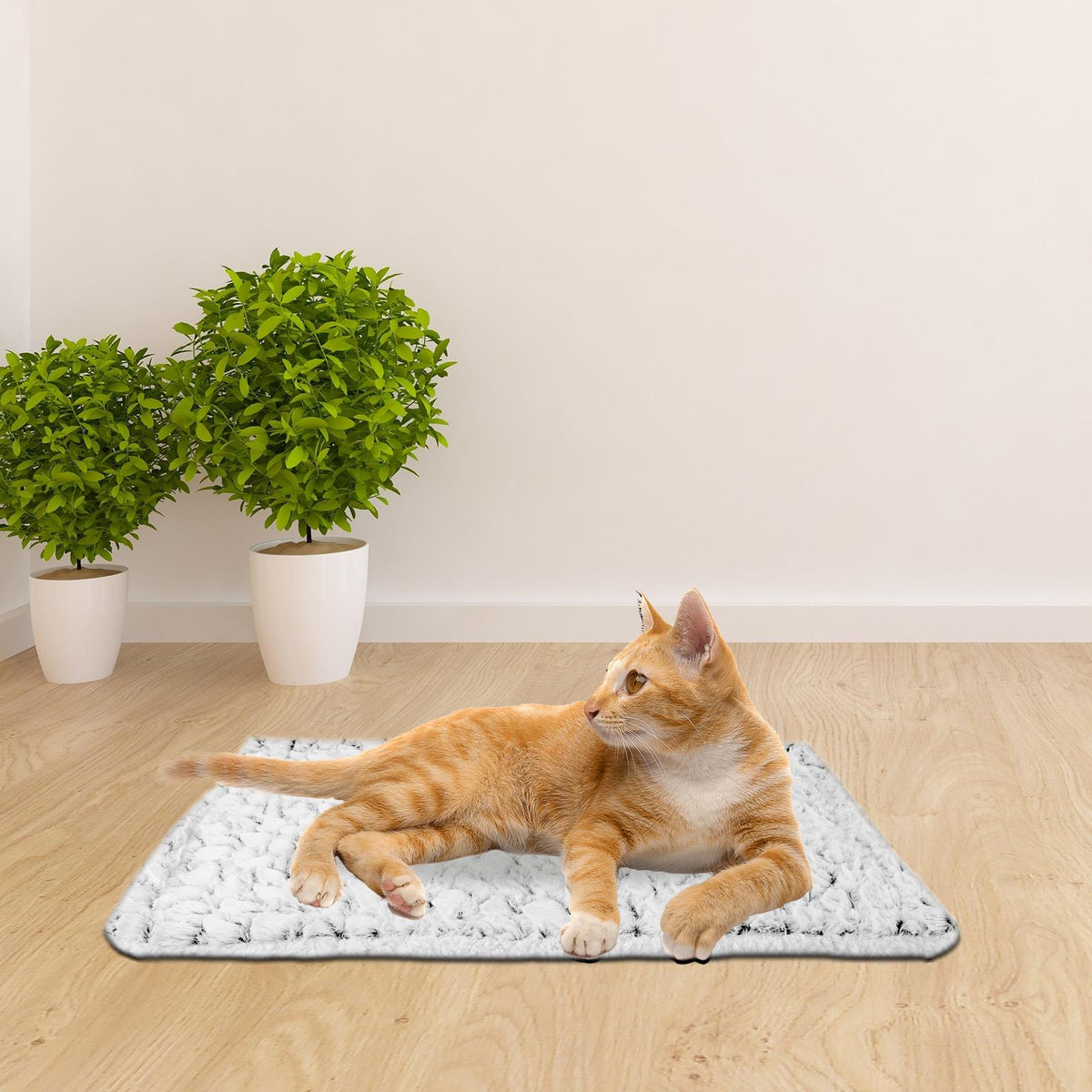 Self Heating Cat Radiator Bed