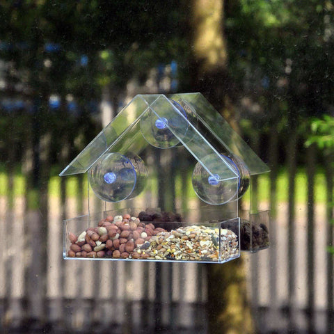 Bird Nut Feeder Feeders