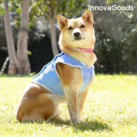 Pet Cooling Dog Vest Reflective