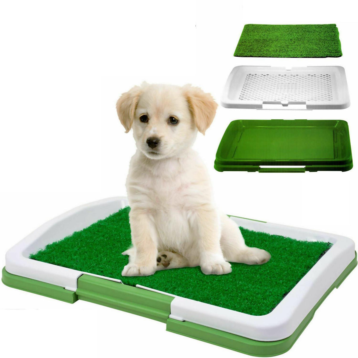 Pet Puppy Trainer Dog  Absorbent Mat