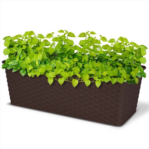 Rectangle Rattan Planter