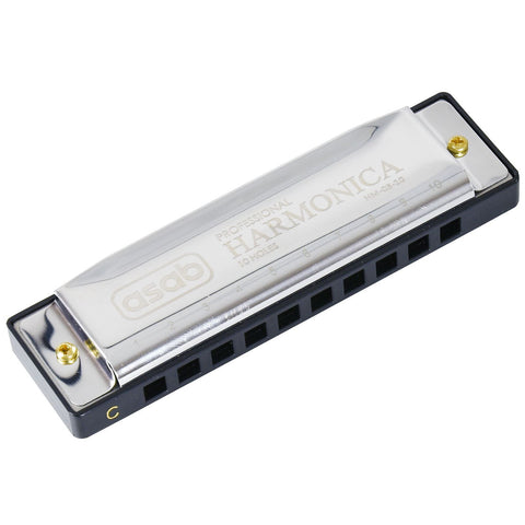 10 Hole Harmonica