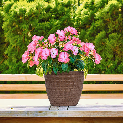 Rattan Saksi Flower Pot