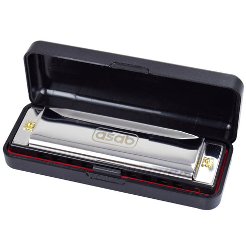 10 Hole Harmonica