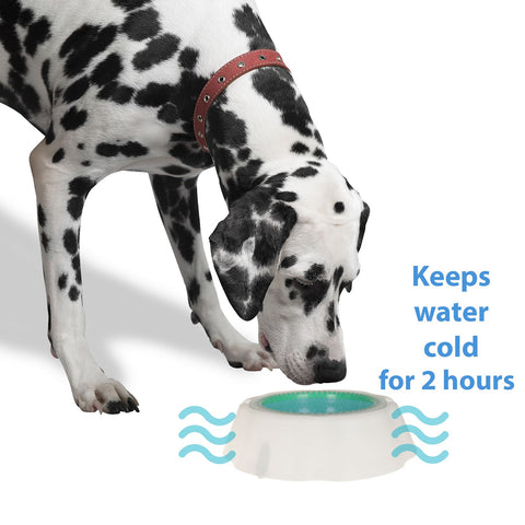 Pet Dog Puppy Drinking Bowl