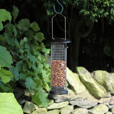 Bird Nut Feeder Feeders