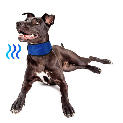 Cooling Gel Dog Collar