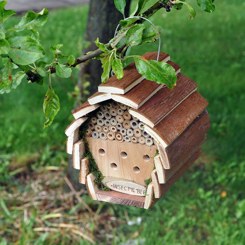 Bird Nut Feeder Feeders