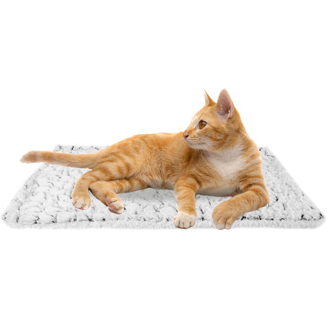 Self Heating Cat Radiator Bed