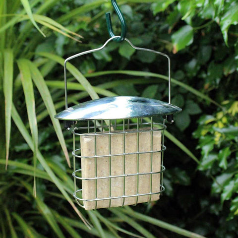 Bird Nut Feeder Feeders