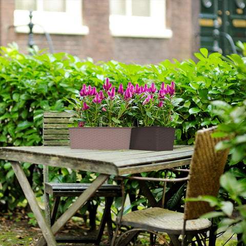 Rectangle Rattan Planter