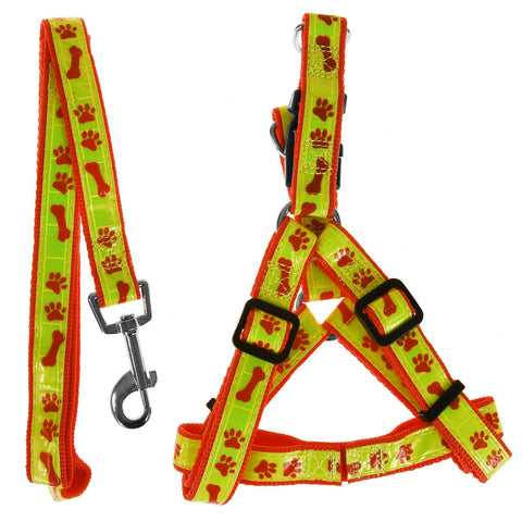 Harness and Lead High Visibility