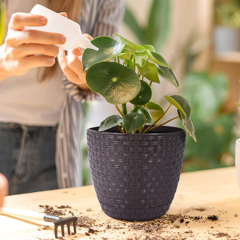 Rattan Saksi Flower Pot