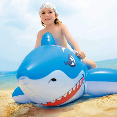 Inflatable Floats Swimming Pool Beach Holidays Beach Sea