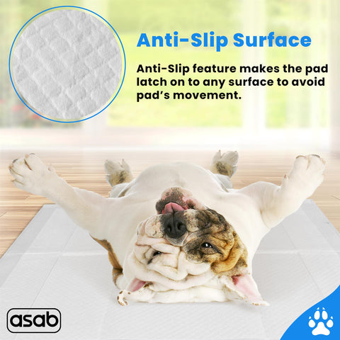 Pet Dog Training Pads