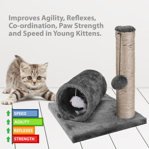 Mini Cat Kitten Sisal Scratch Post