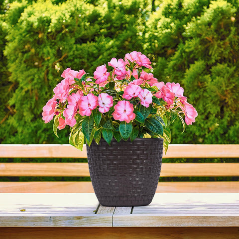 Rattan Saksi Flower Pot