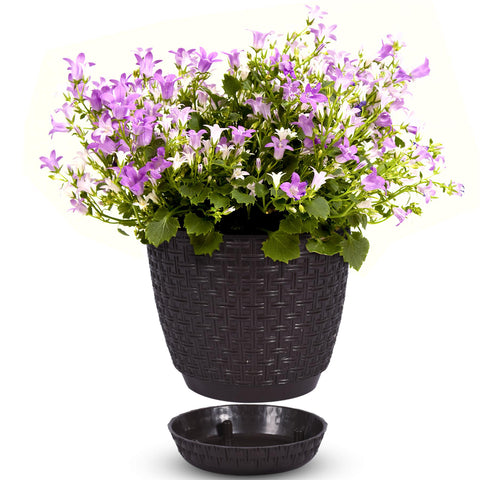 Rattan Saksi Flower Pot