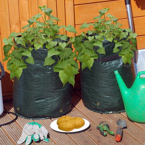 2 x Potato Grow Bag