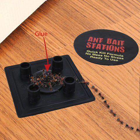 3pk Ant Killer Bait Station Trap