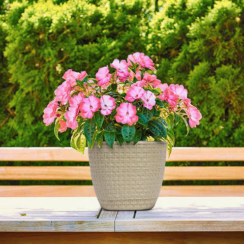 Rattan Saksi Flower Pot