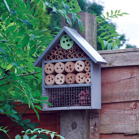 Bird Nut Feeder Feeders