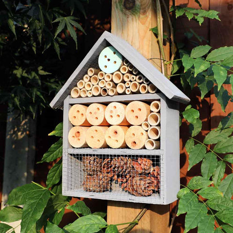 Bird Nut Feeder Feeders