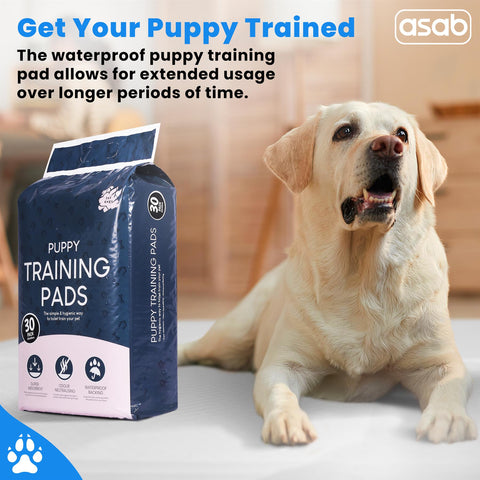 Pet Dog Training Pads