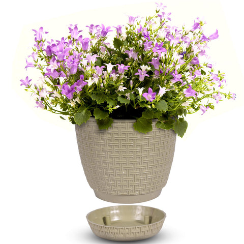 Rattan Saksi Flower Pot