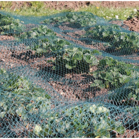 Anti Bird Pond Netting Net 3m x 2m