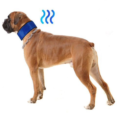 Cooling Gel Dog Collar