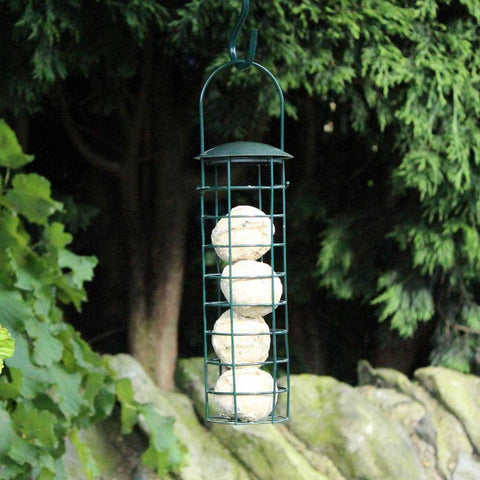 Bird Nut Feeder Feeders