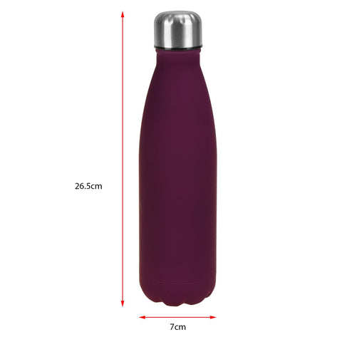 Stainless Steel Water Bottle Insulated Flask