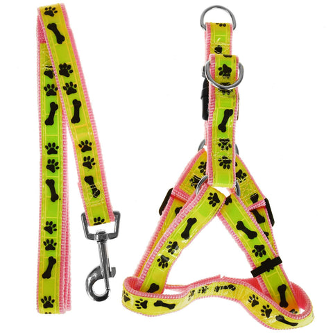 Harness and Lead High Visibility