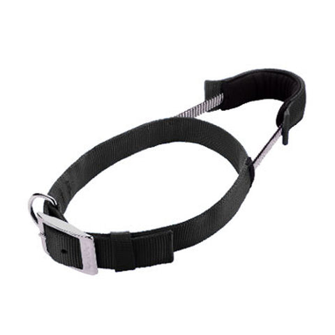 Simple Basic Pet Collar