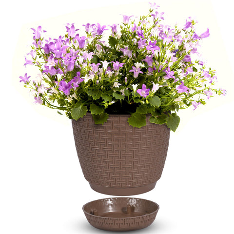 Rattan Saksi Flower Pot