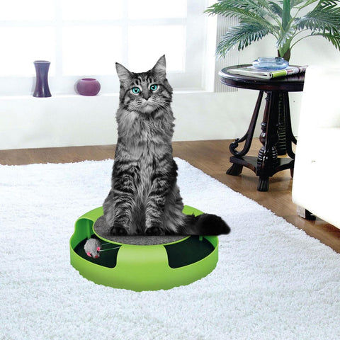 Catch the Mouse Moving Cat Toy