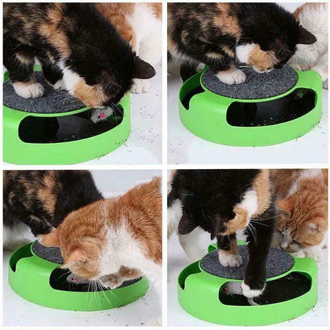 Catch the Mouse Moving Cat Toy