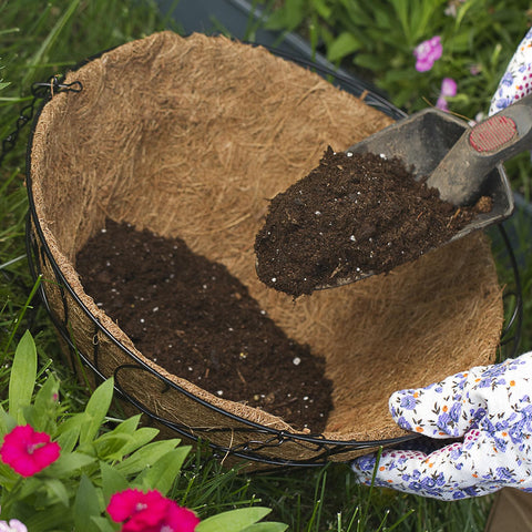 Coconut Liner Basket Planter